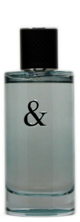 Tiffany Tiffany & Love For Him Тоалетна вода без опаковка EDT