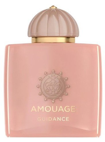 Amouage Guidance Унисекс парфюмна вода без опаковка EDP