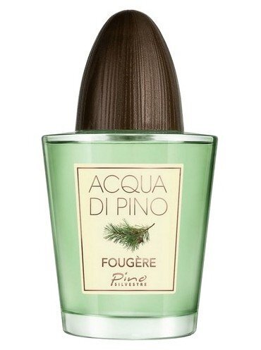 Pino Silvestre Acqua di Pino Fougere Тоалетна вода за мъже без опаковка EDT